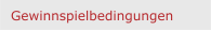 Gewinnspielbedingungen